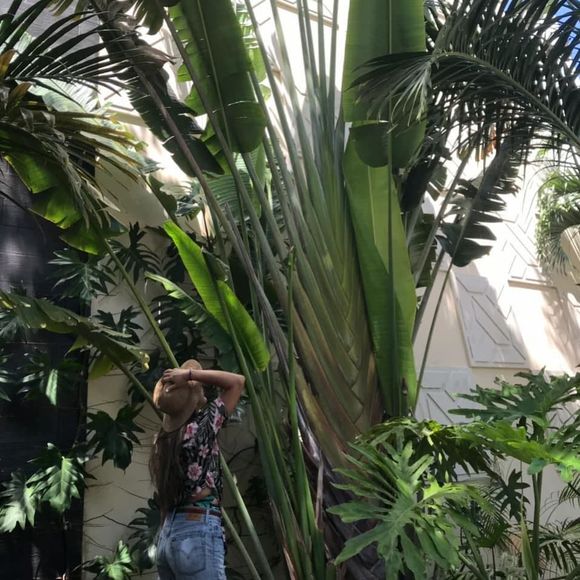 Meet your Posher, Michelle - Picture 1 of 1